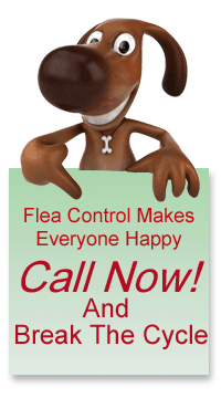 Flea control